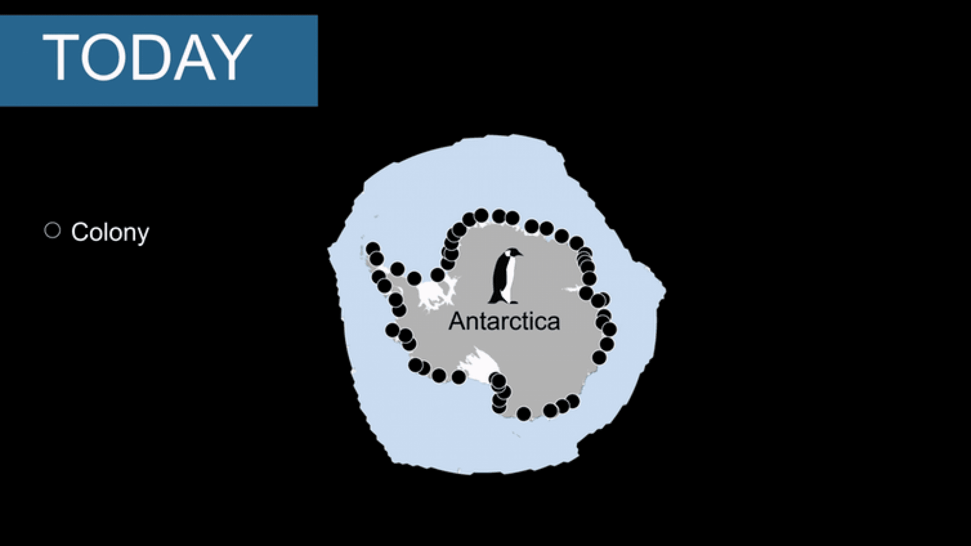 A map of penguin colonies around Antarctica.