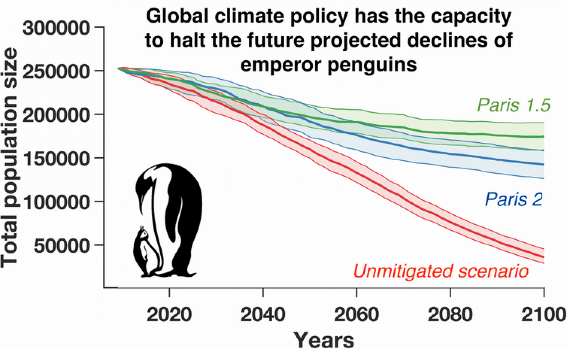 A graph of declining penguin numbers if climate change is not stopped. 