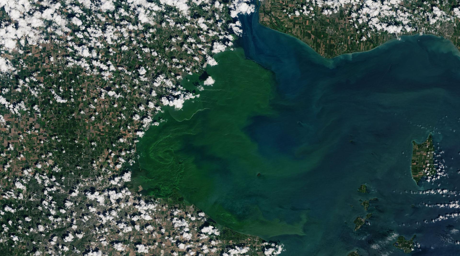 A satellite image showing Lake Erie with a large algae bloom on the western edge of the frame.
