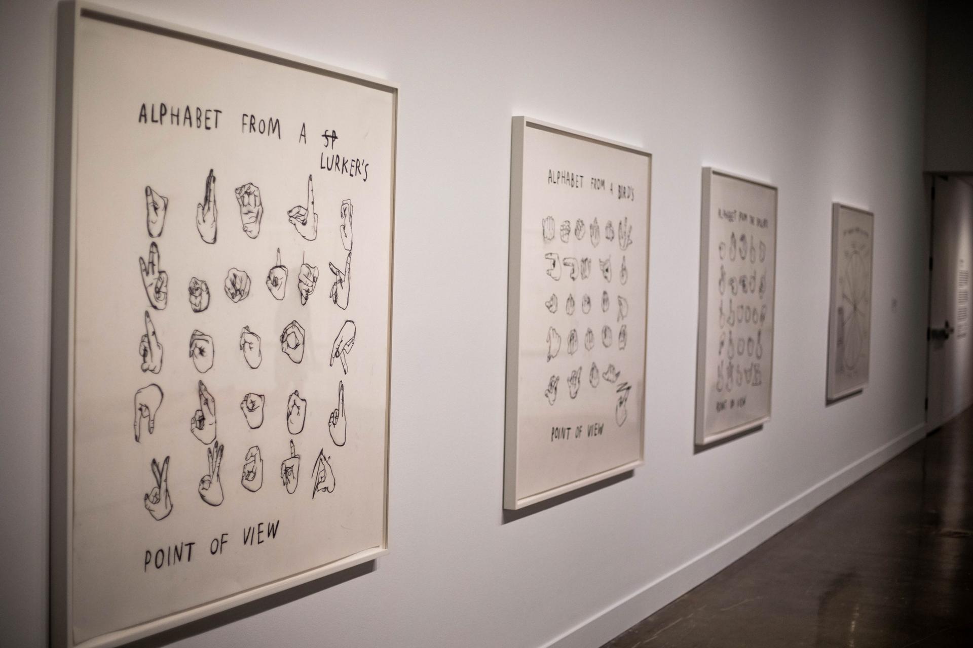Several charcoal diagrams are shown framed and hanging on a white wall.
