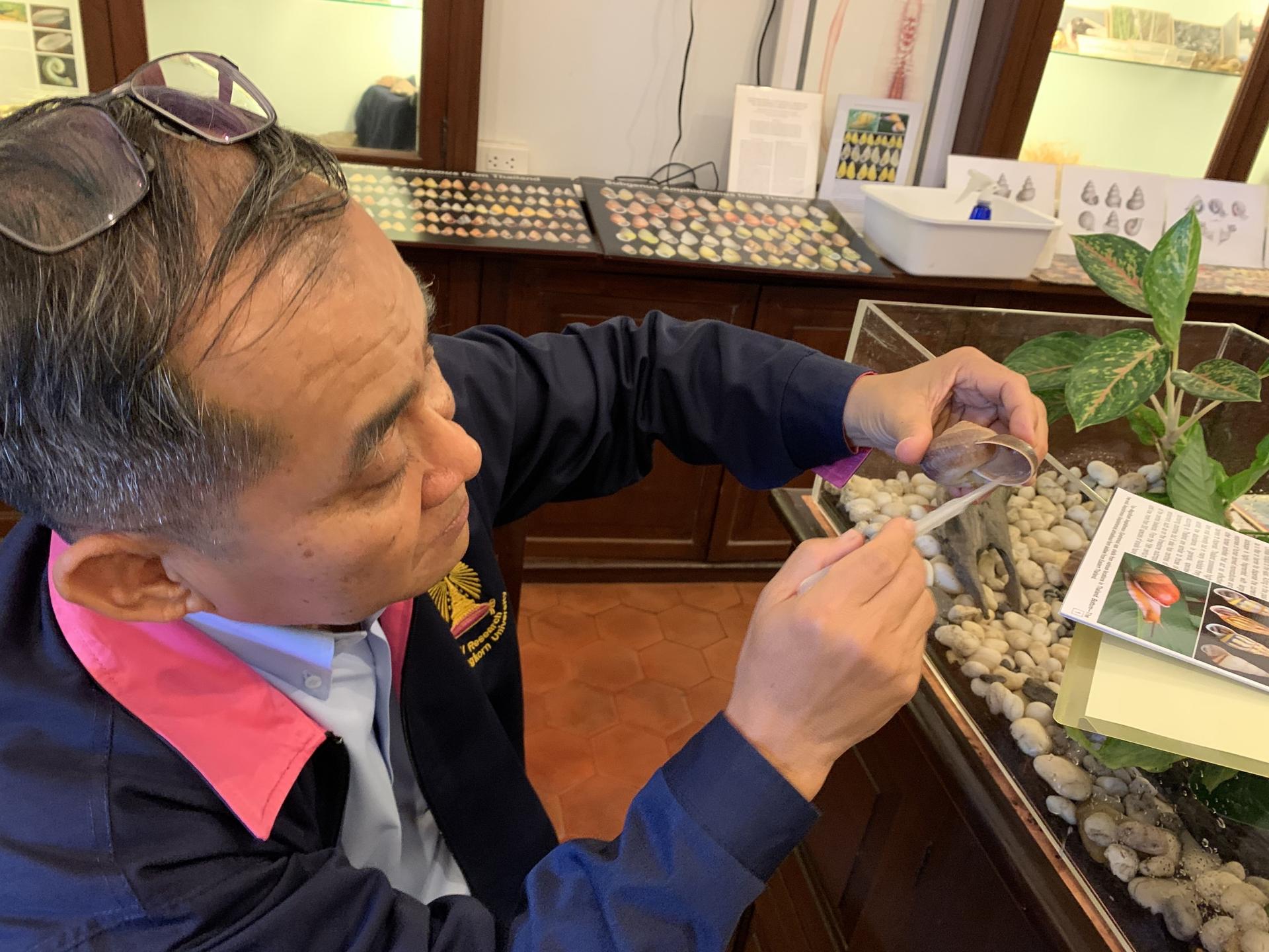 Somsak Panha is a biologist who is known as Thailand’s top snail guru.