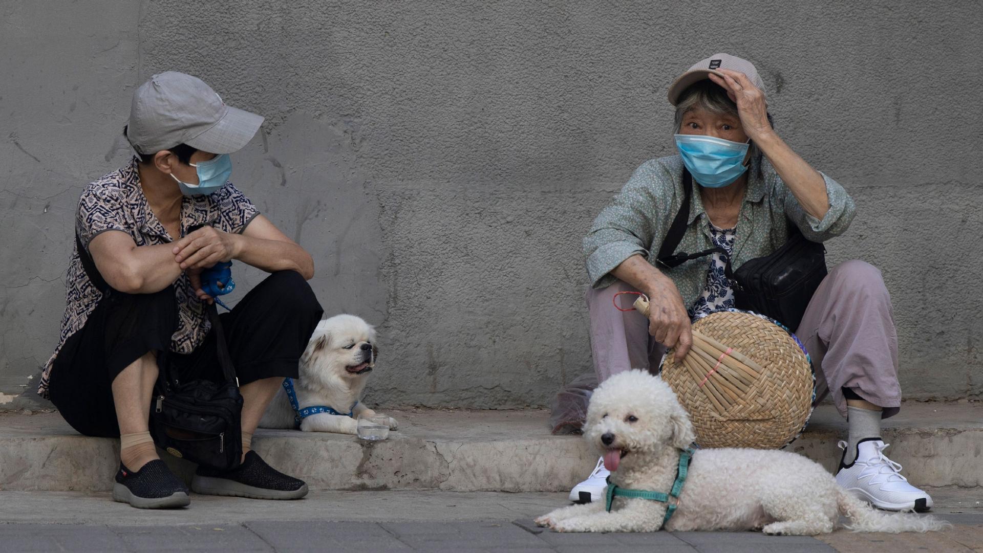 Two women are shown sitting on a small curb and wearing hats and protective facemasks with two small white dogs also sitting nearby.