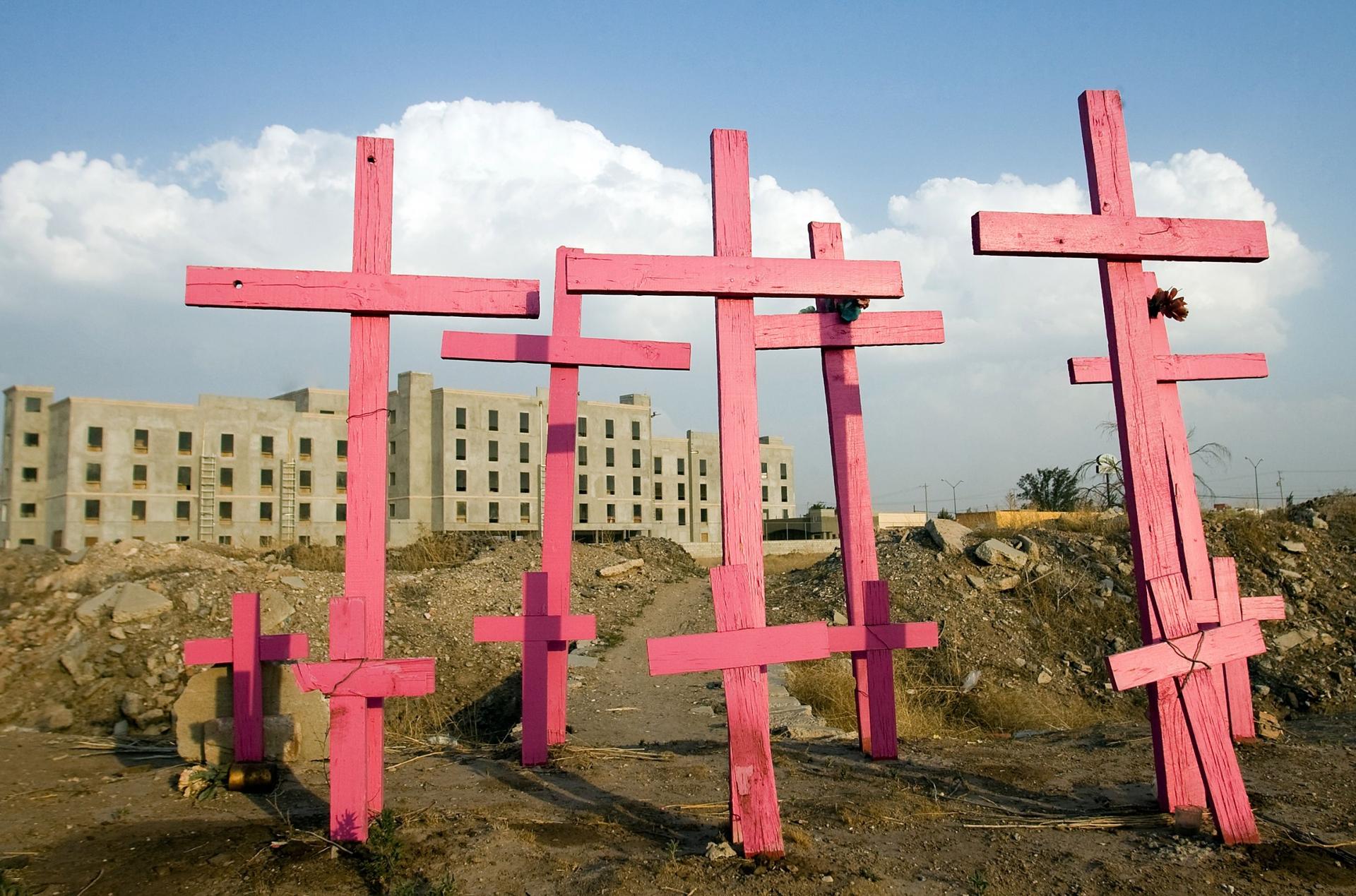 Bright pink crosses used to memorialize where bodies were found.