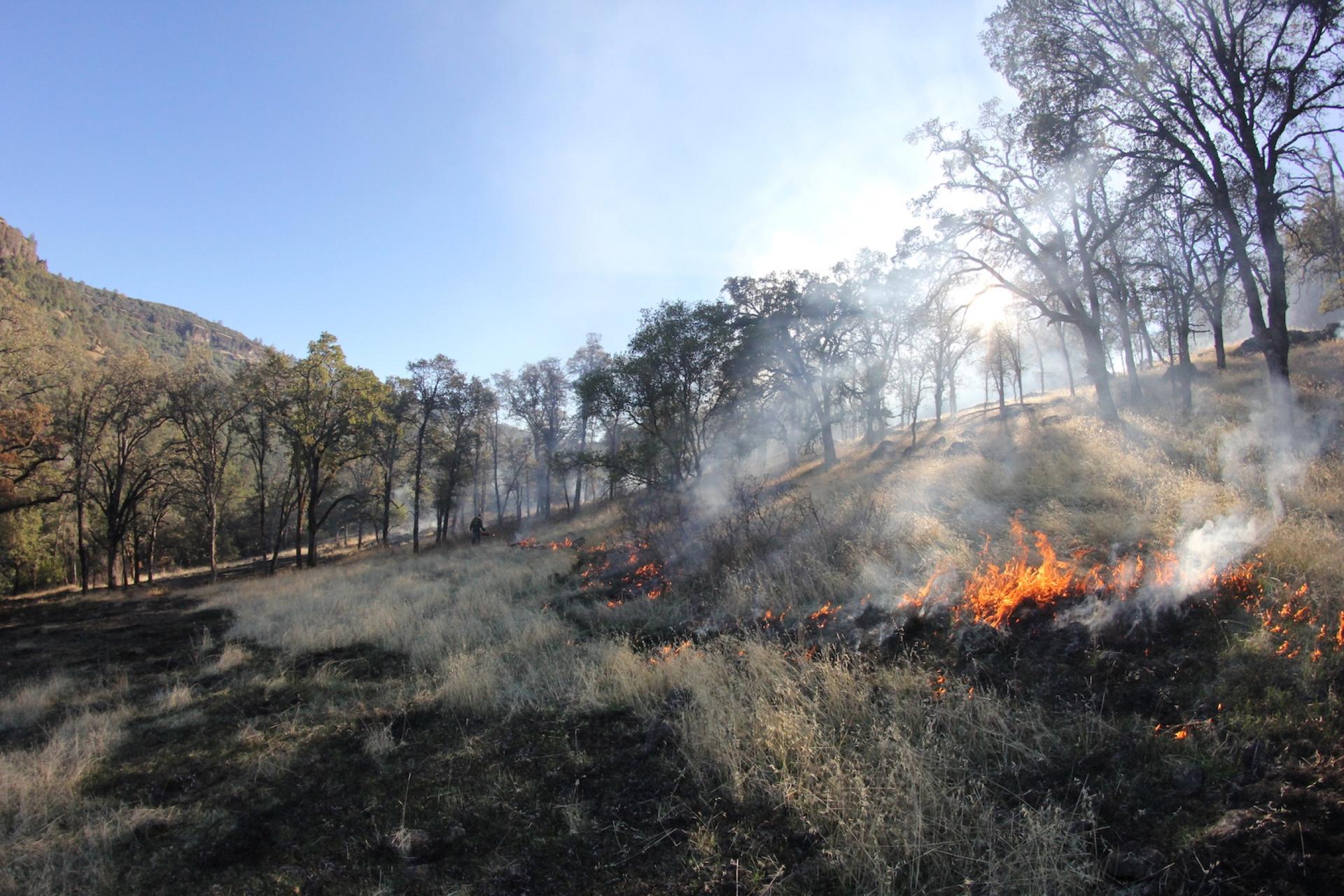 A fire burns with blue and gray patches in a field 