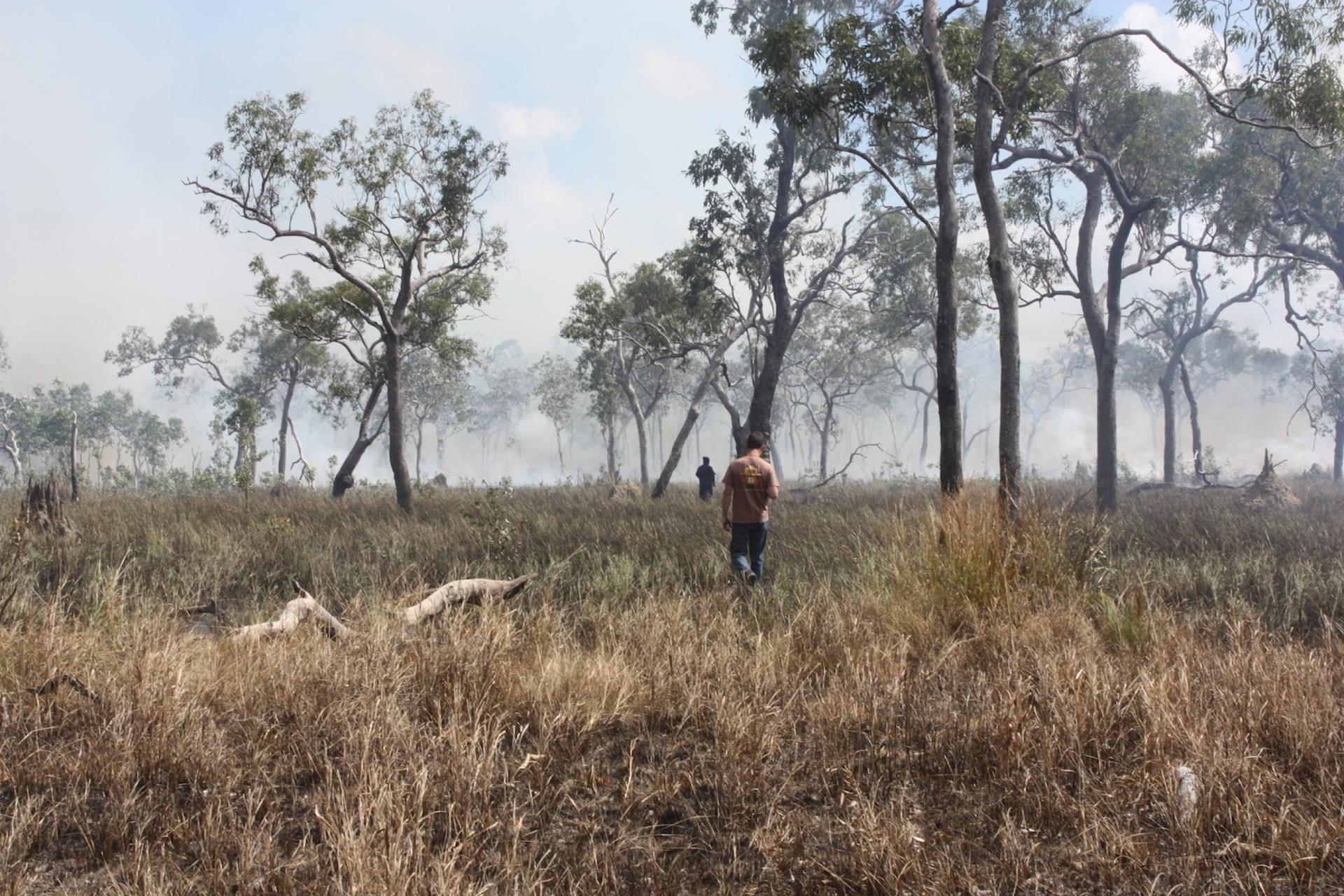 A man walks in dry patchy fields to set a controlled fire. 