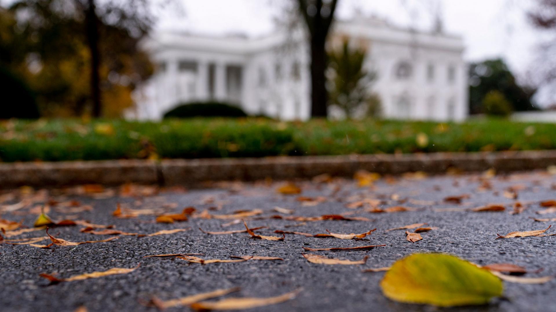 Leaves lie on the ground in focus with the White House in the distance in soft focus.
