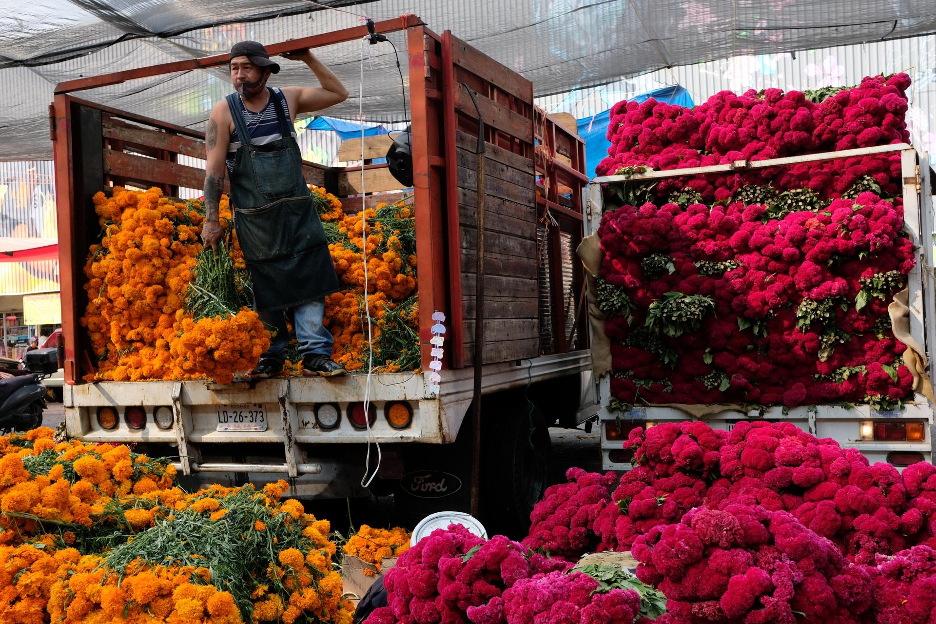 A man stands inside a truck bursting with gold and pink flowers all around him in a market in Mexico