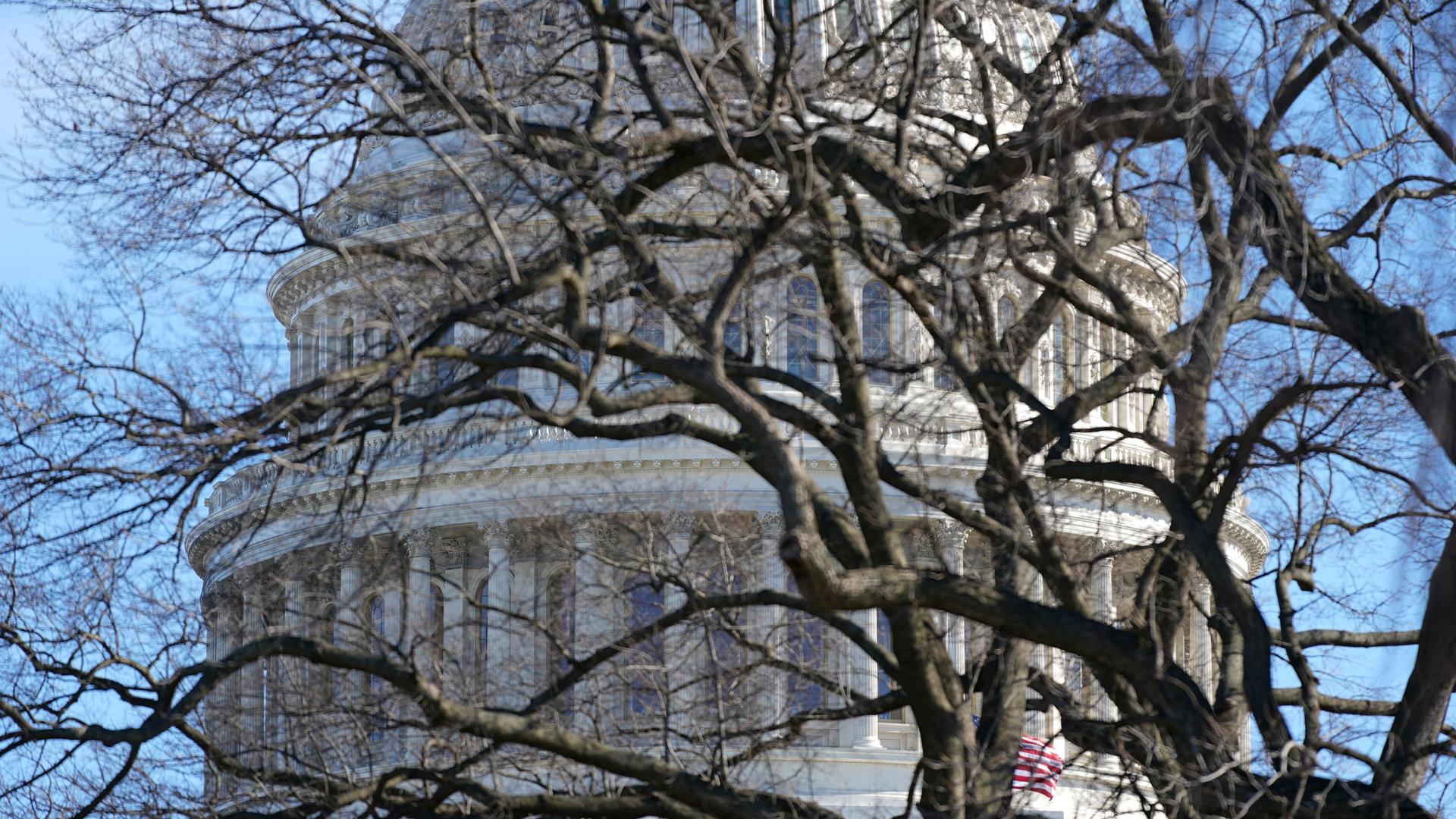 The stone facade of the US Capitol dome is shown in the distance through the branches of a tree without leaves.