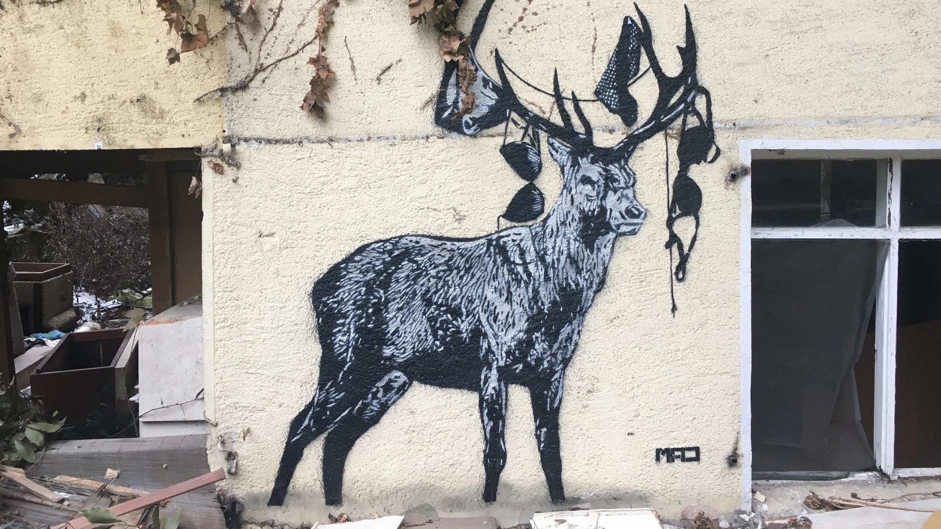 On the exterior of the building, the stencil of a stag created by the artist MAD stands solemnly, with pieces of women's underwear hanging from its horns. 