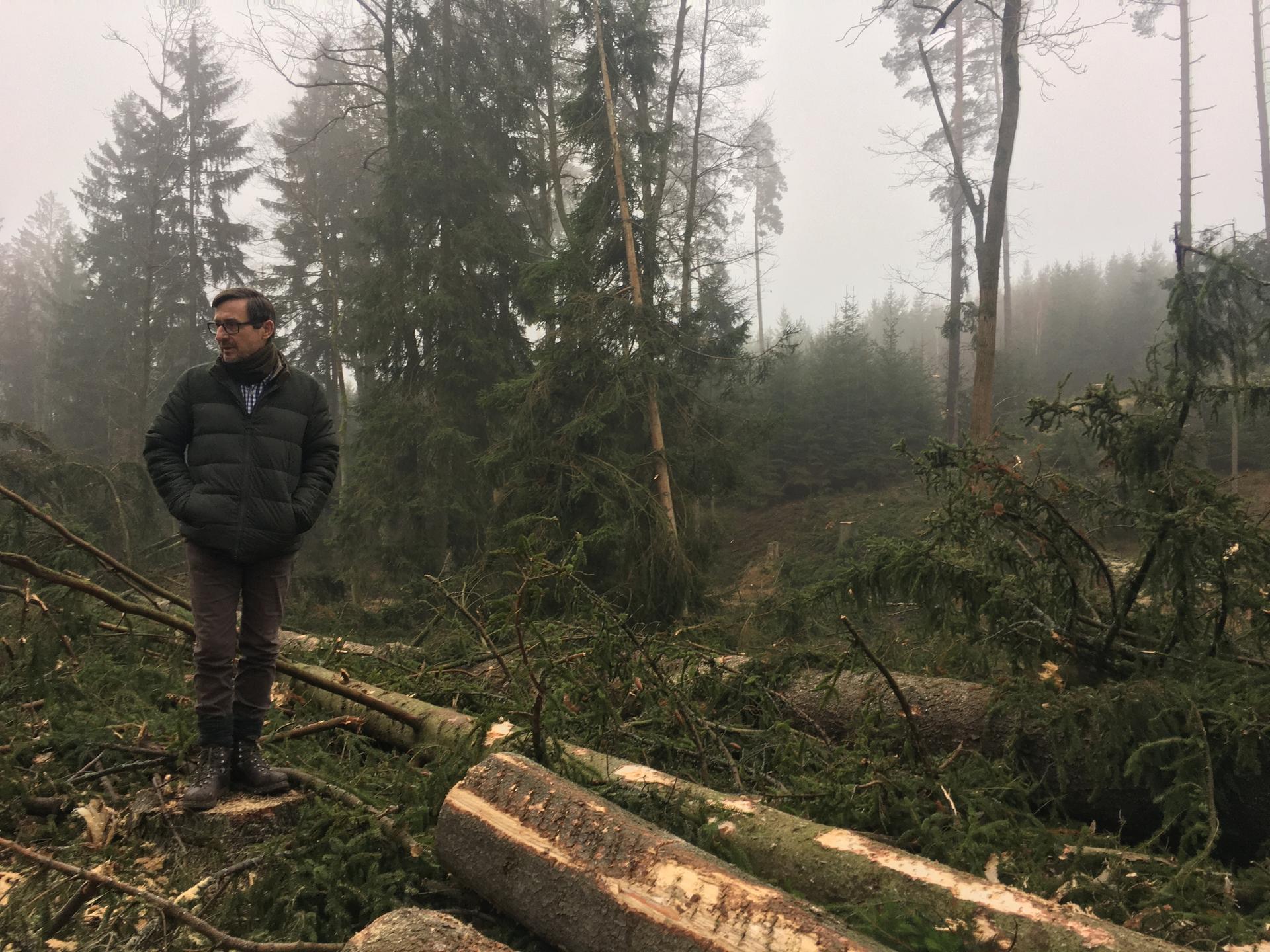 Forest manager Herbert Schmid says "close-to-nature" management practices make for more fire-resilient landscapes, but the practices are not new.