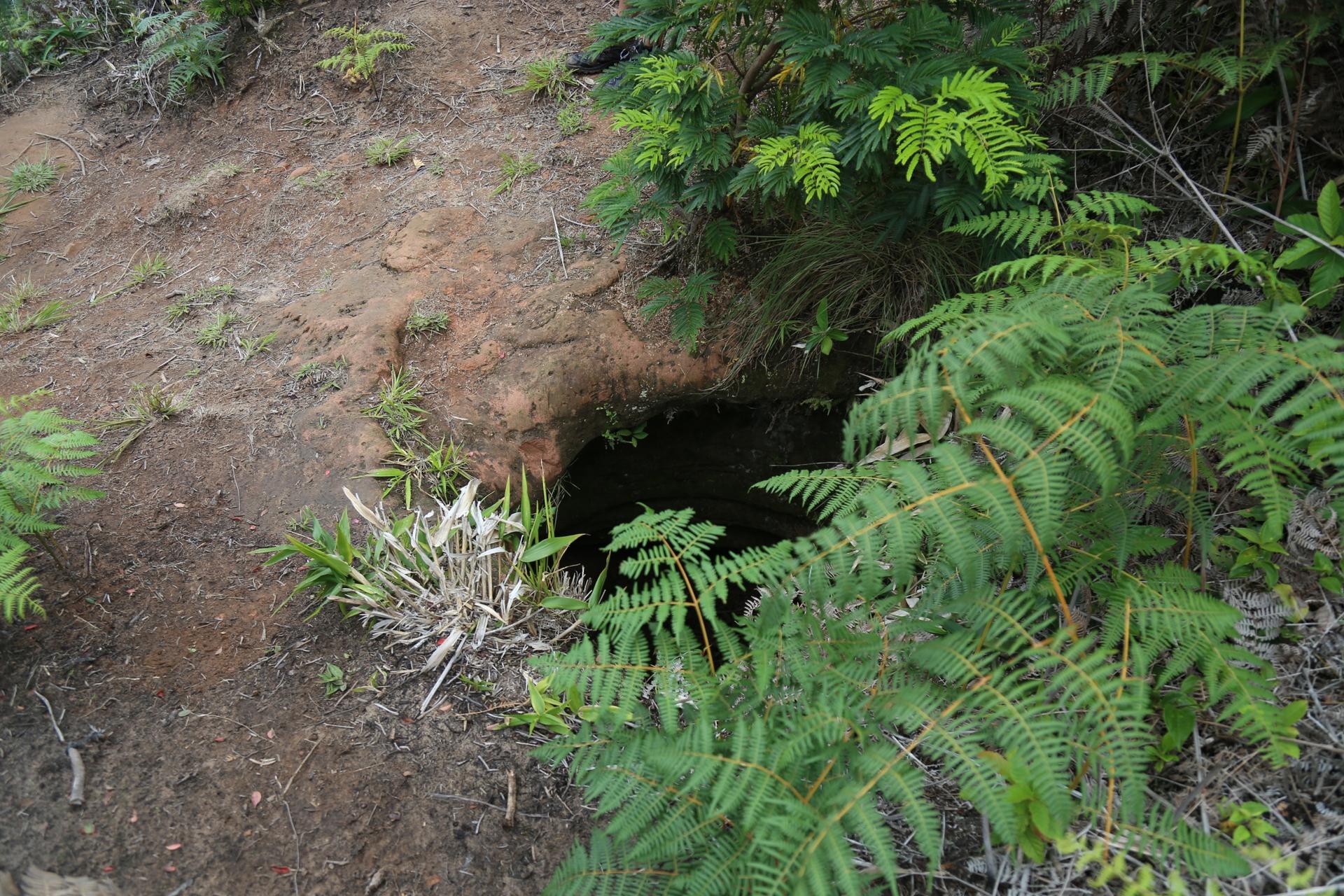 For many years, locals in southern Brazil said these tunnels were dug by the Xokleng Indigenous peoples in order to hide out when under attack by colonizing Europeans.