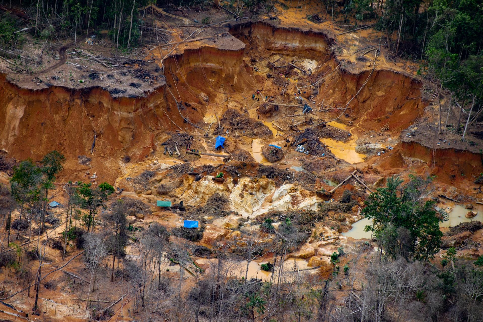  An illegal mining site in the Uraricoera River area of Yanomami land.