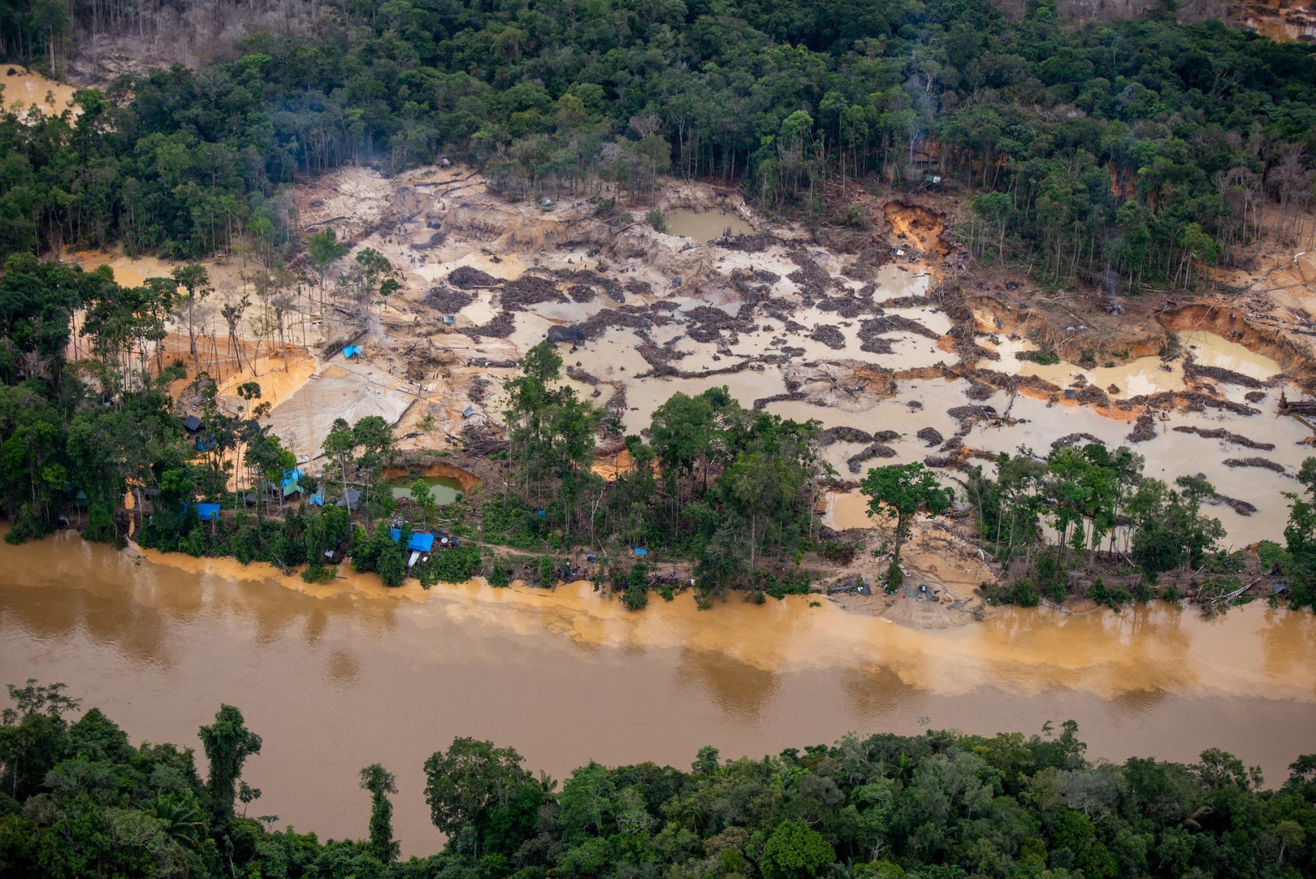  Wildcat mining along the Uraricoera River, in Yanomami Territory.