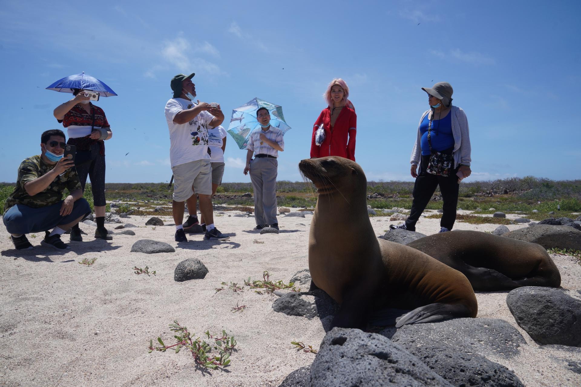 Tourists learn about the lives of sea lions while on a visit to North Seymour Island on May 9, 2021. 