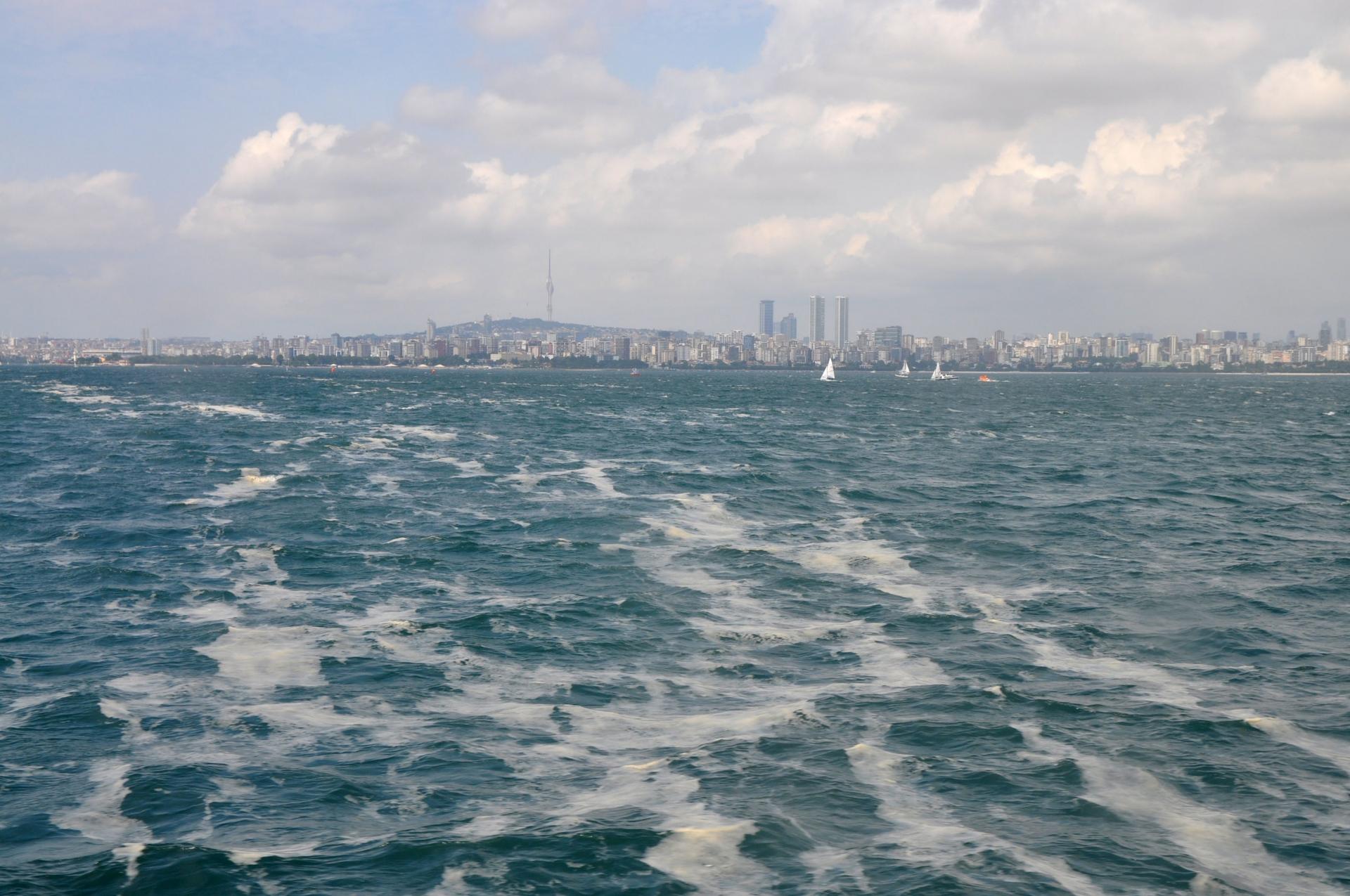 Threads of sea snot, pushed into open waters by the wind, float in front of the Istanbul skyline. 
