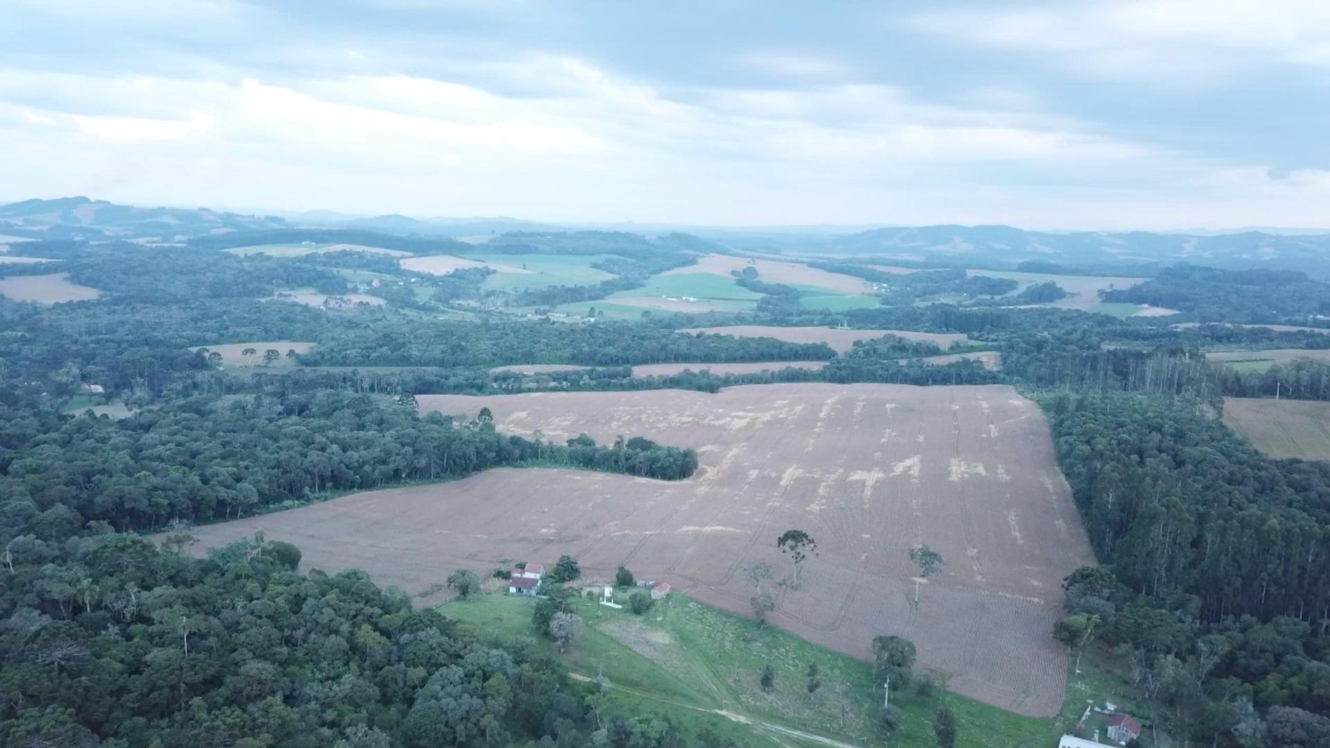 The size of the faxinal's communal land in Marcondes in the countryside of the Brazilian state of Paraná has shrunk to a sixth of what it once was — in part because of the huge growth in soy, according to farmer Tarcísio Maistricz. 