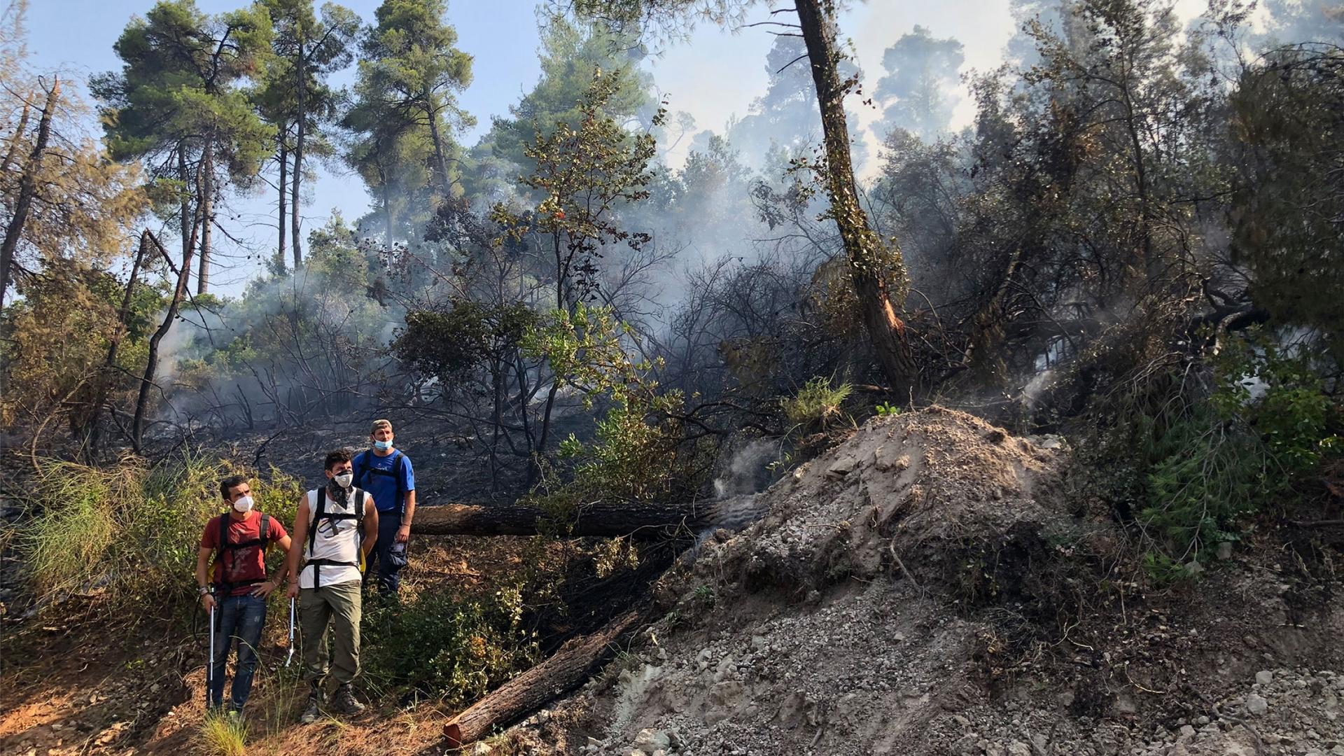 A group of three people are shown in a forested area with the smoke from fires rising in the background.