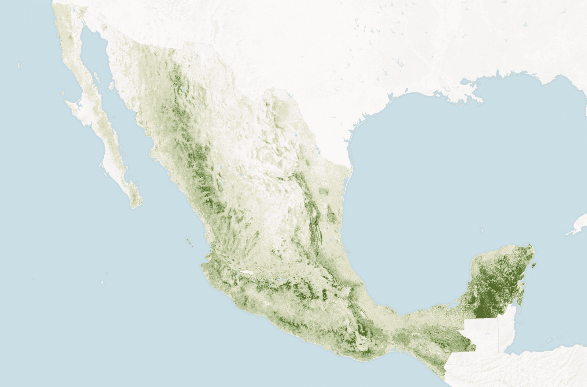 Map of Mexico's forests