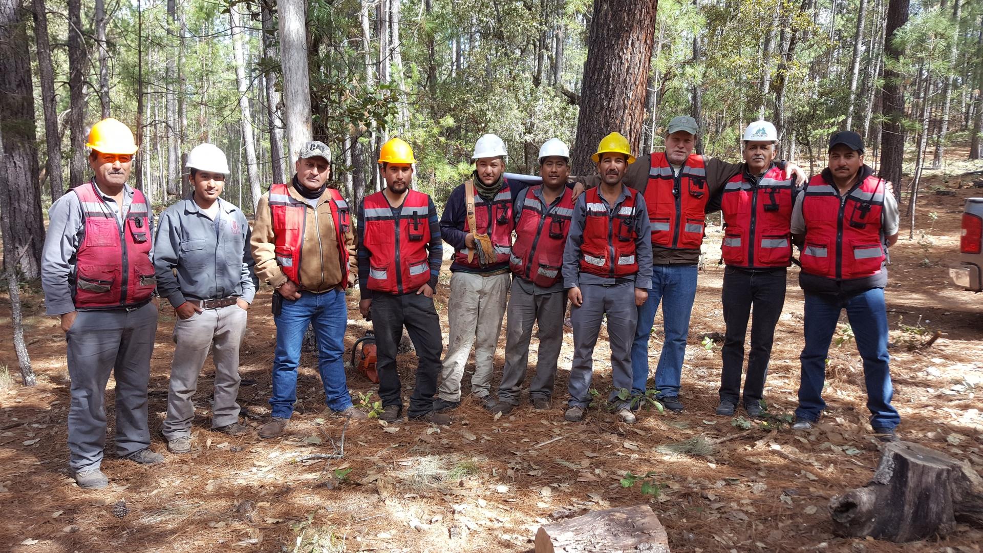 Foresters outdoors in hard hats and safety vests.