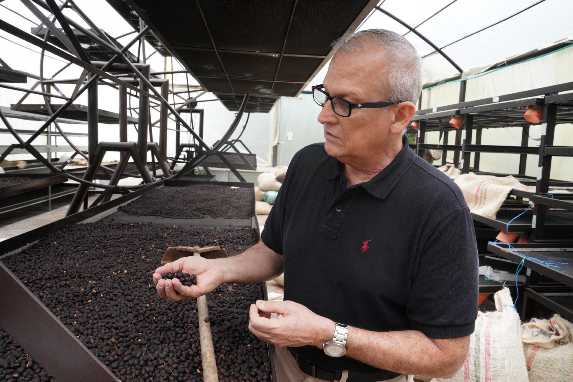 Mauricio Zuñiga checks out a batch of coffee beans that are being dried up at the Immaculada farm near Cali, Colombia, on May 27, 2021.