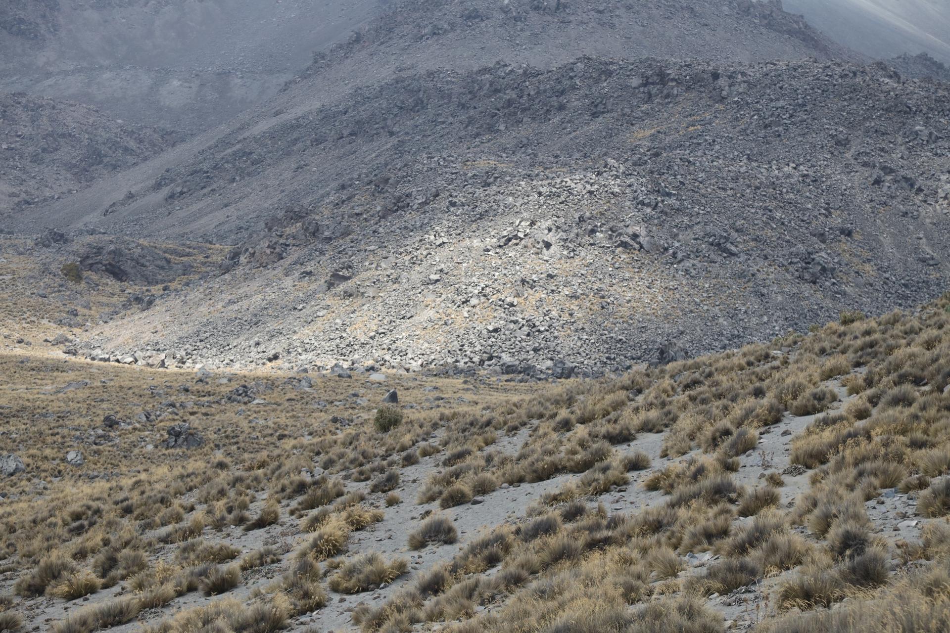 Side of the Orizaba Peak mountain where the shrub tundra vegetation gives way to the landscape of grey rocks that once laid beneath packs of snow and ice, Mexico