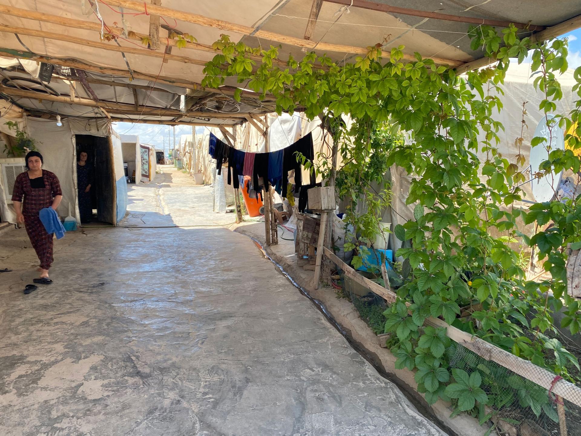 Yazidi families living for nearly eight years in Sharya camp grow flowers and other plants, which they say helps them feel more at home. 