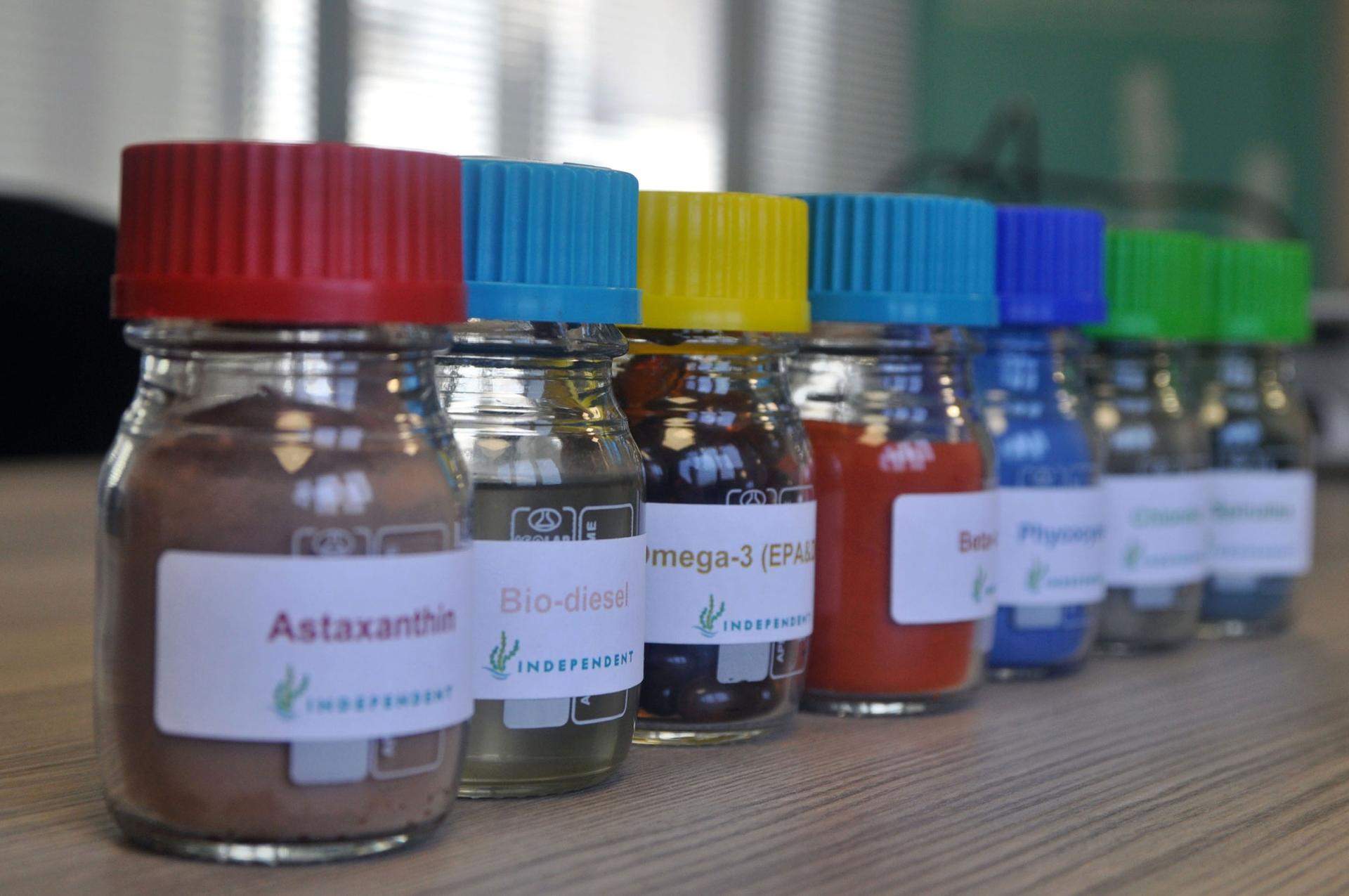 Clear bottles showcase the supplements, pigments, and other products that Haznedaroğlu’s team derives from algae, with biodiesel the second from the left. 