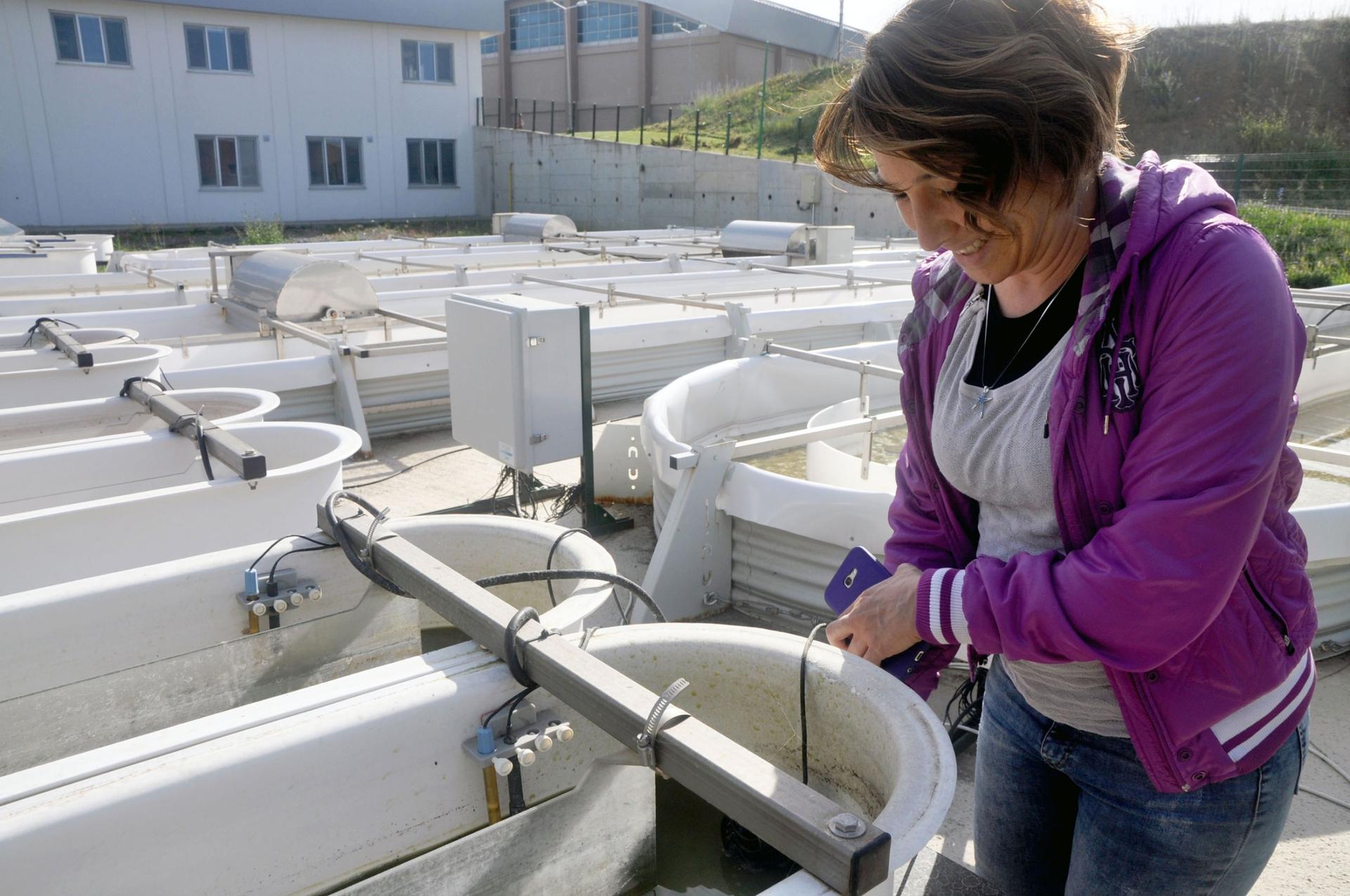 Irem Karamollaoğlu, project expert for the lab, checks a motor in an algae seeding pool at the Istanbul Microalgae Biotechnologies Research and Development Center. After growing in small pools, the algae is transferred to the larger racetrack ponds for a 