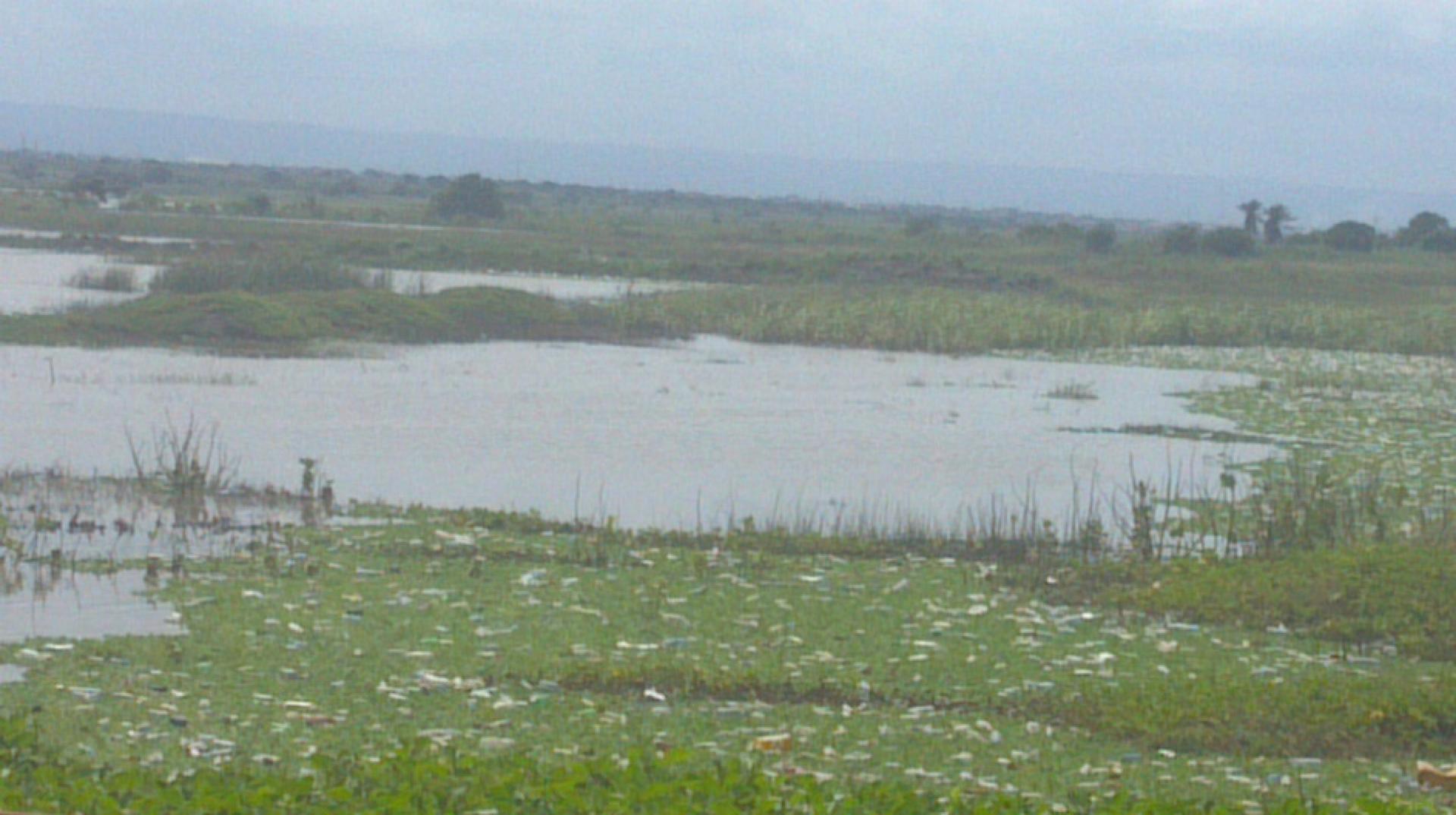 View of a part of the Sakumono lagoon and wetlands in the Greater Accra region, June 8, 2014. 