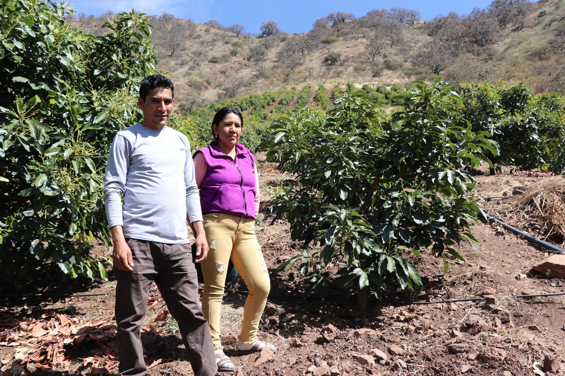 a husband and wife farmer team stand near avocado trees
