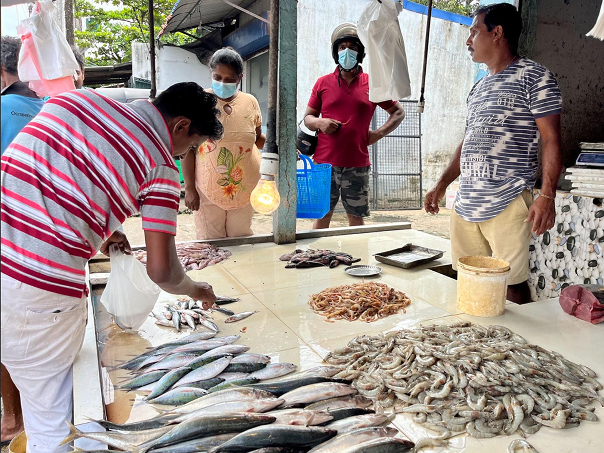 A customer inspects the fish at Chaminda Jayalath’s stall. Jayalath says he’s able to buy only half as much fish as usual. 