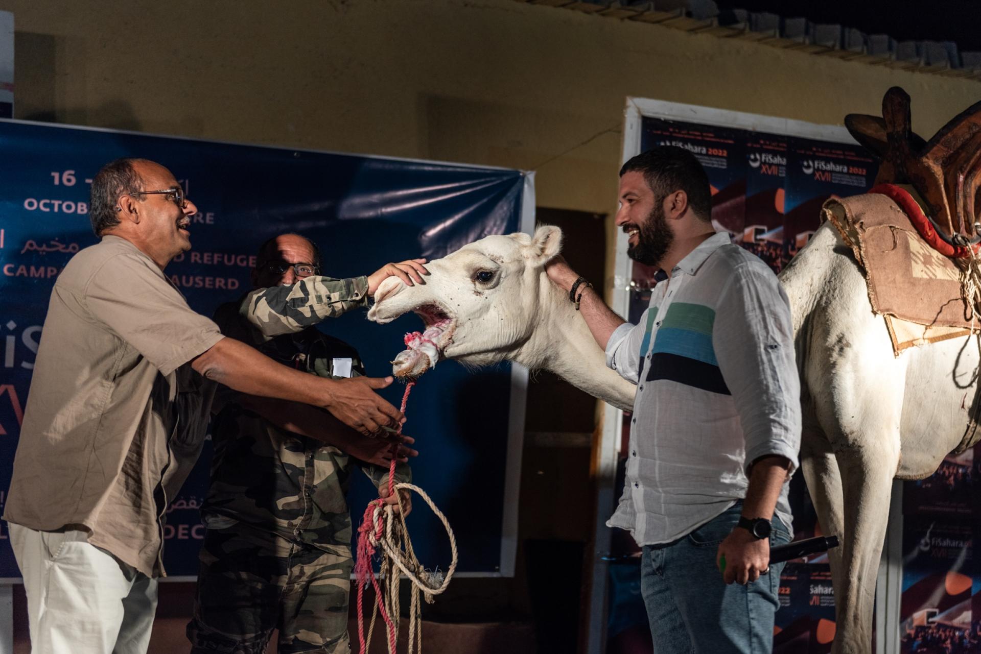 Algerian filmmaker Rabah Slimani receives the FiSaharafirst prize White Camel award for his documentary “Wanibik”