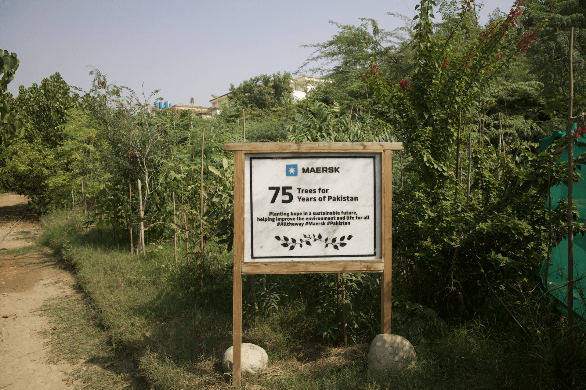 Shahzad Qureshi’s first urban forest, three densely planted acres in the Clifton neighborhood of Karachi, Pakistan.