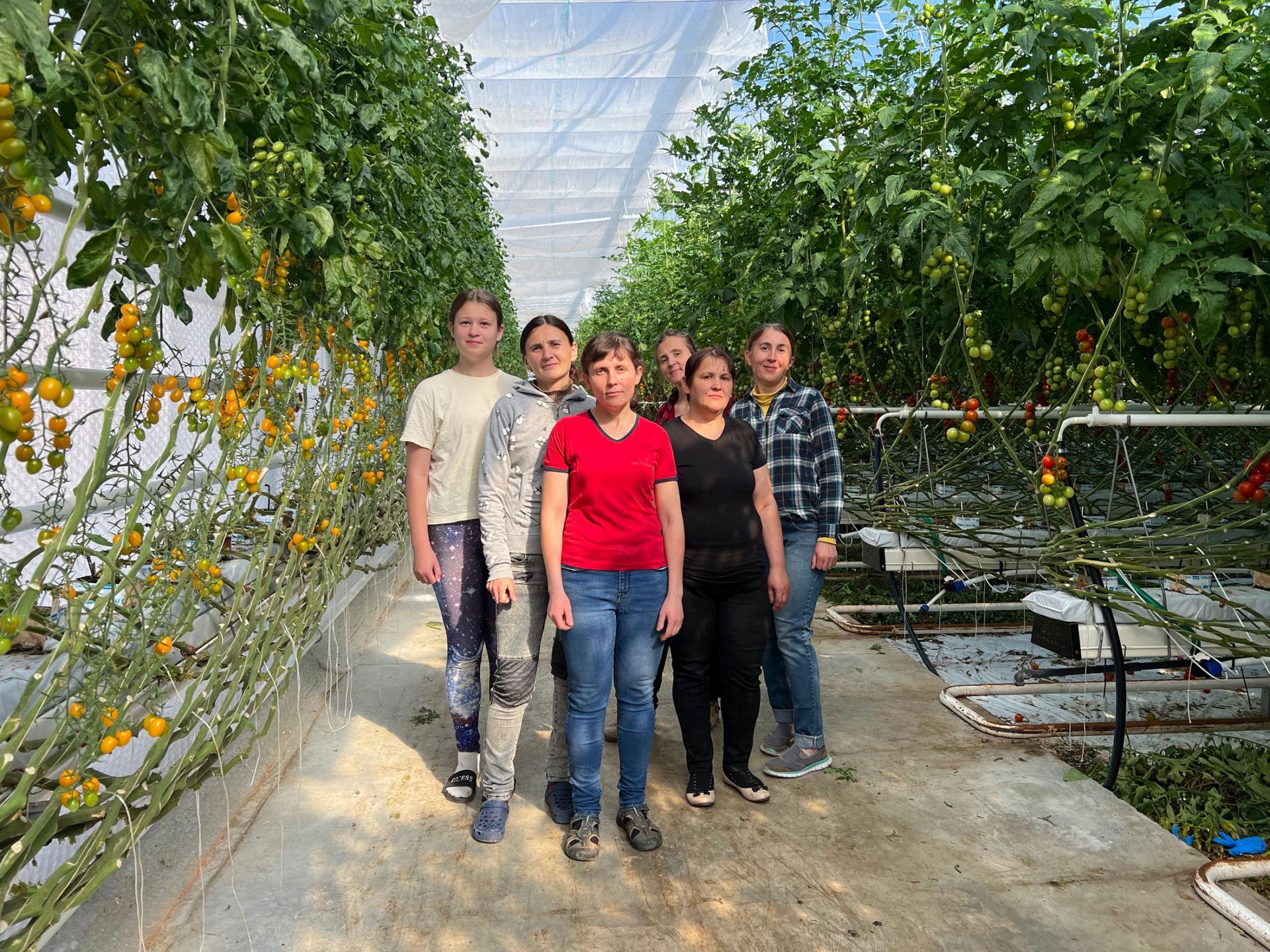 Six sisters from Ukraine stand in a greenhouse at Ráječek Farm in the Czech Republic.