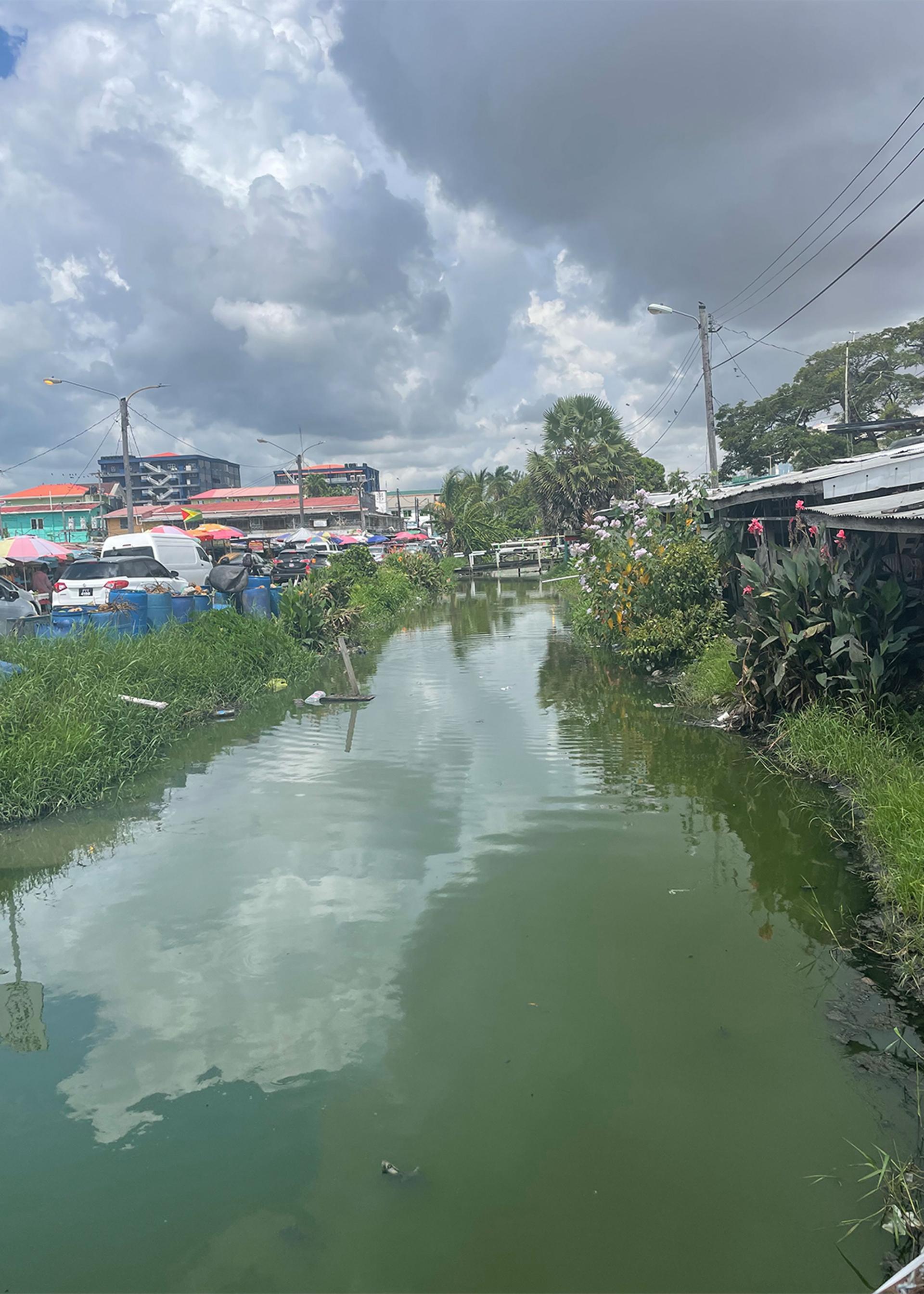 A canal in Georgetown, Guyana.
