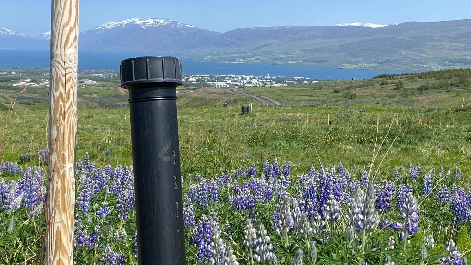One of dozens of pipes sunk into Akureyri’s old, buried landfill channels methane gas for use as a fuel for local busses. 