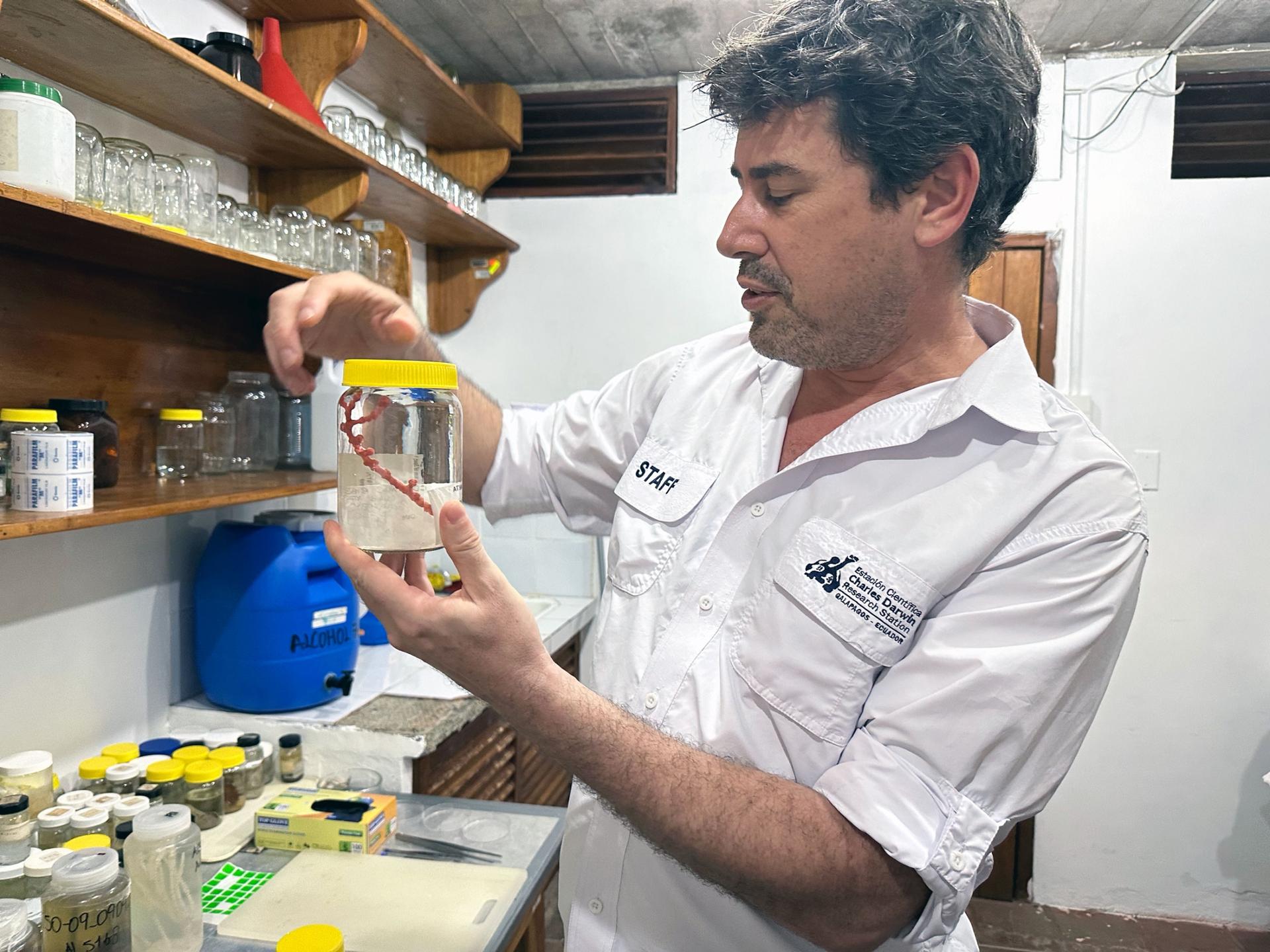 Stuart Banks, a senior marine scientist at the Charles Darwin Foundation, examines a live coral specimen collected from the deep-sea reef during the Atlantis expedition. July 12, 2023 Credit: 