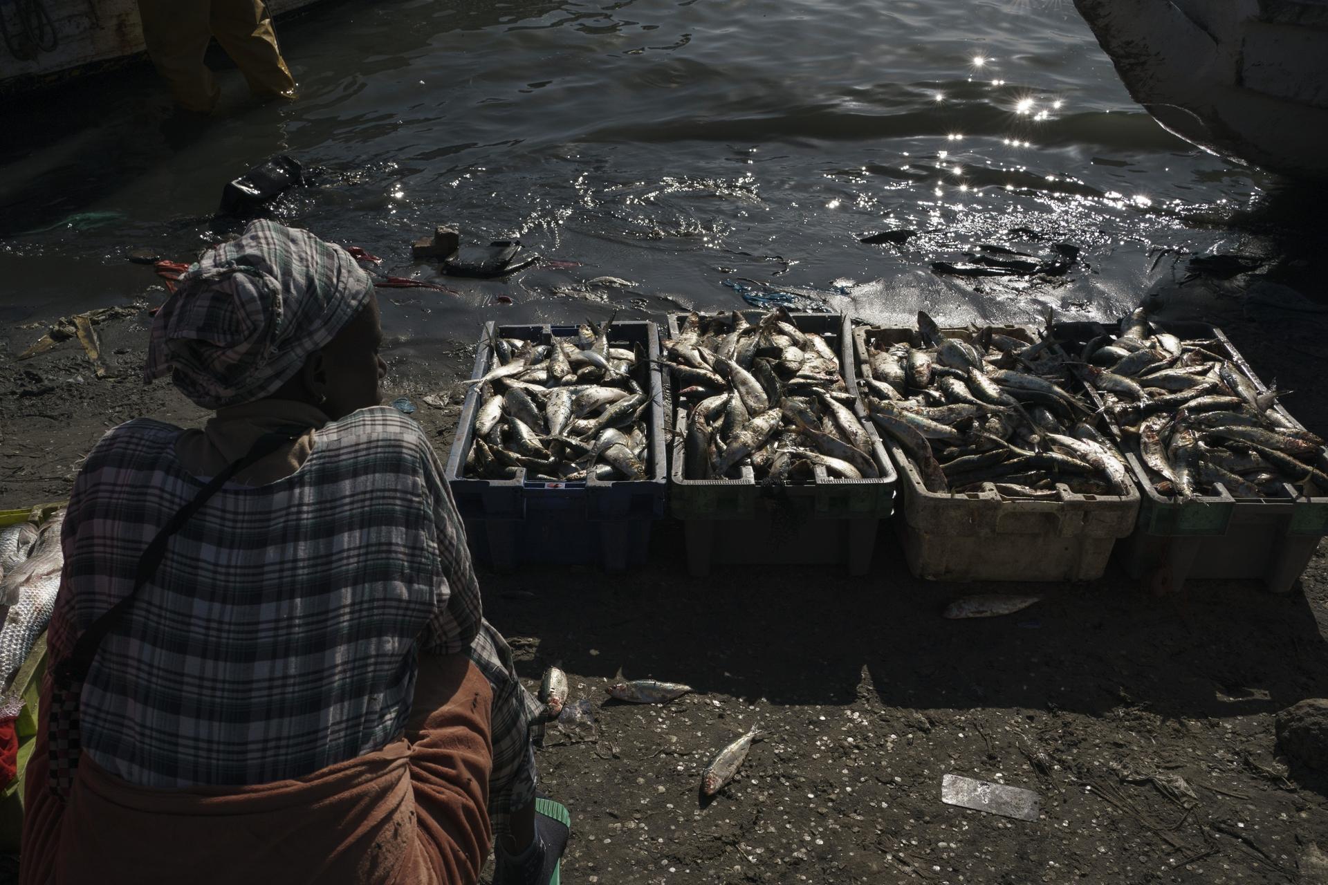 A woman sits next to crates filled with fish as she works at the shore of the Senegal River in Saint-Louis, Senegal, Jan. 20, 2023.