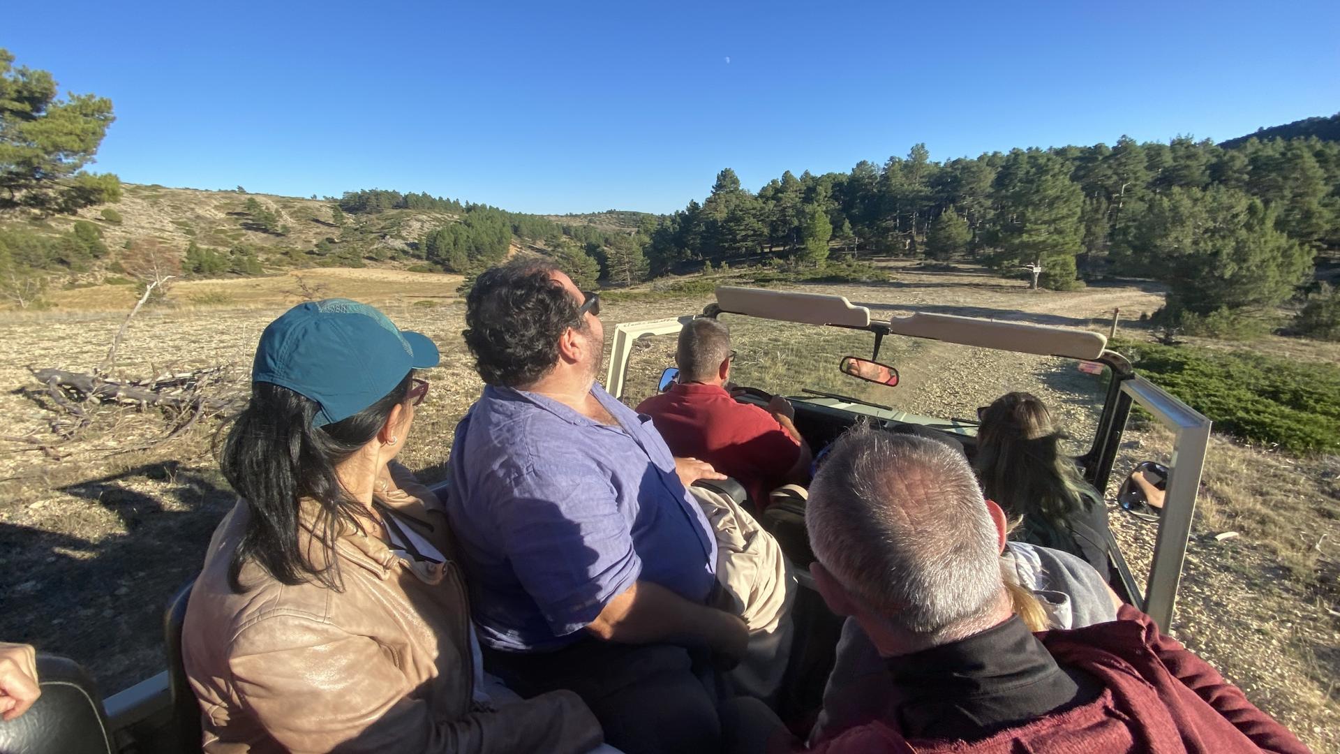 Almazán’s not getting rich off his rewilding safaris, but he’s betting that driving tourists into the mountains to see feral horses, the aurochs and reintroduced species of vultures will one day pay off.