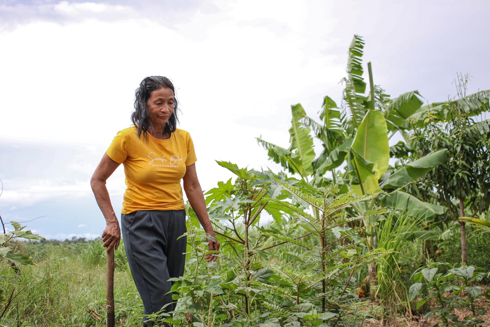 woman in a yellow shirt and denim jeans walking through a sugar farm