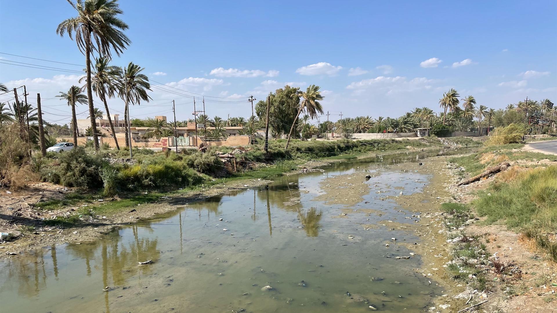 Water sources drying up near Salah Fareeq Al-Feroun's farm, Al-Meshkhab, Najaf Province, Iraq, Aug. 30, 2023.