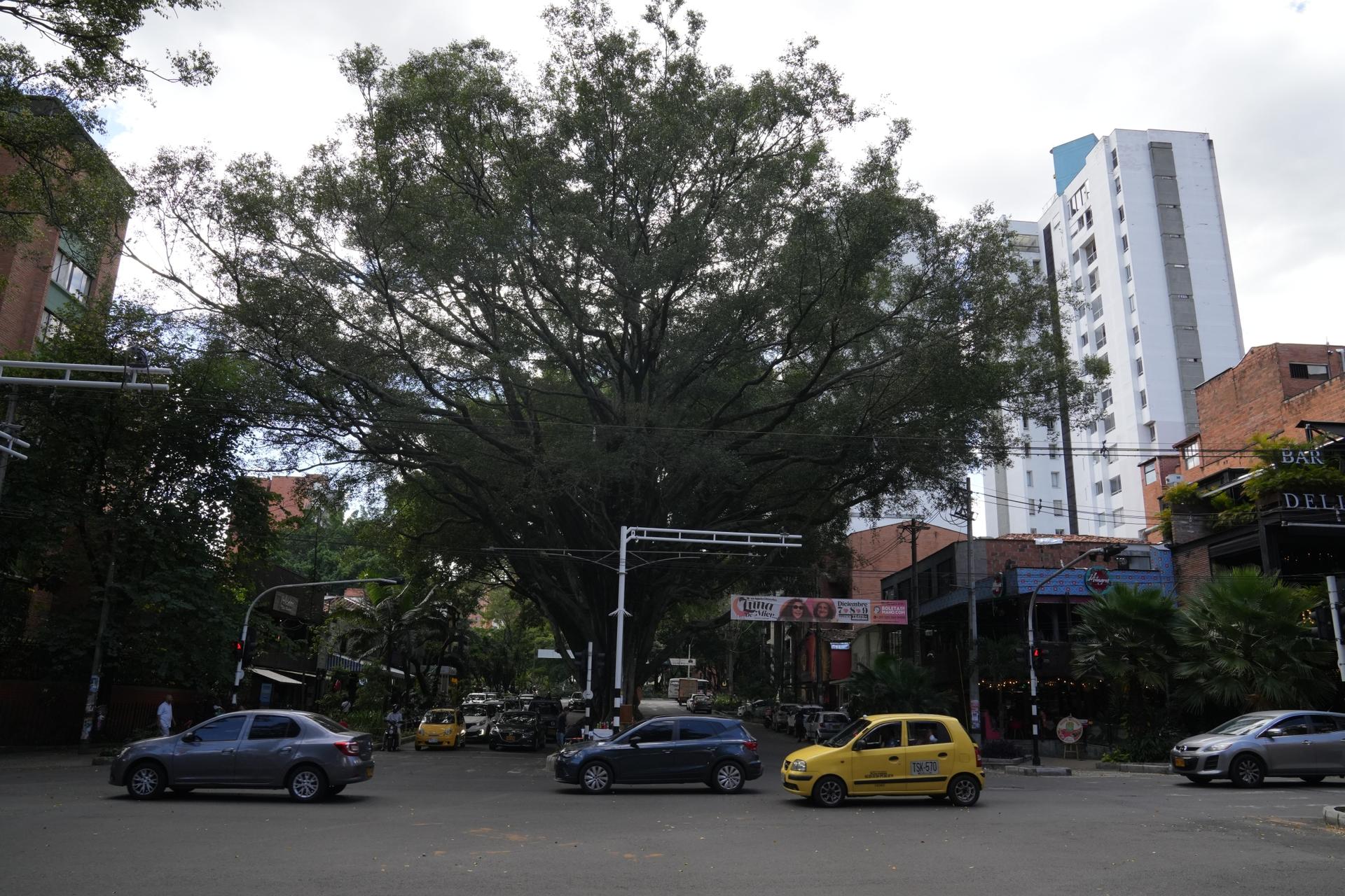 The leafy sector of Laureles is popular with tourists. But some locals have complained that they are being priced out of this neighborhood.