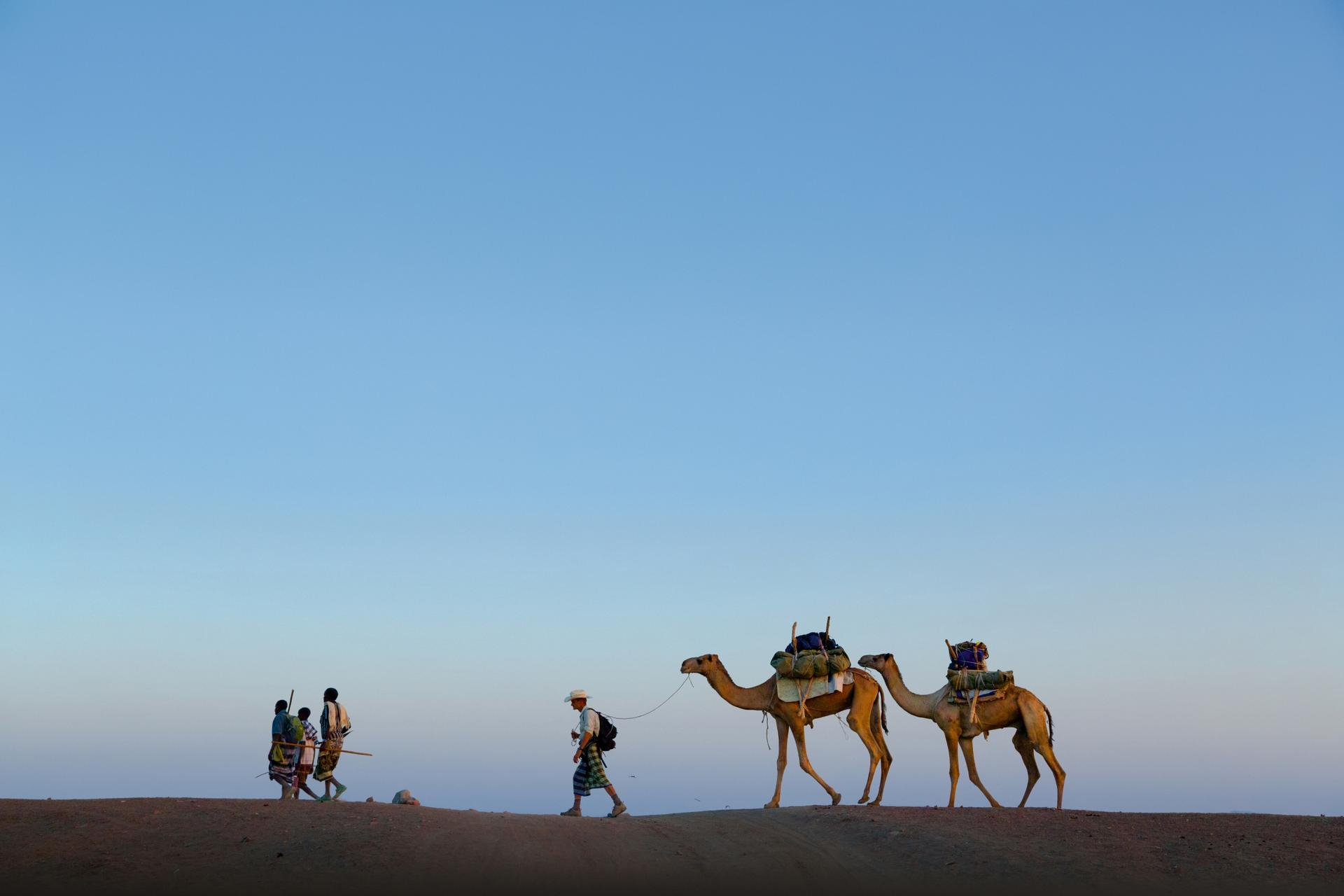 man with guides and camels