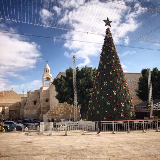 Christmas tree in front of Church of Nativity 
