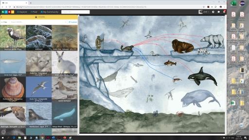 Screenshot shows wildlife species profiles and food web