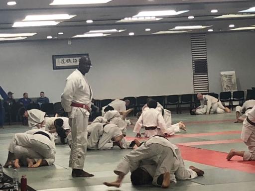 Raymond Demoniere, 51, is a judo instructor. 