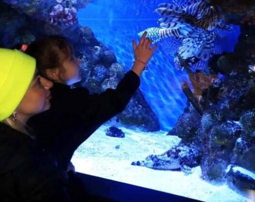 Karolina makes her first visit to the New England Aquarium before receiving prosthetic legs.