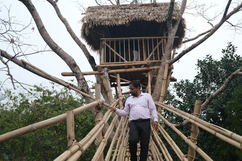 A person walks on a bamboo bridge towards a rustic treehouse with a thatched roof, surrounded by bare and leafy trees.