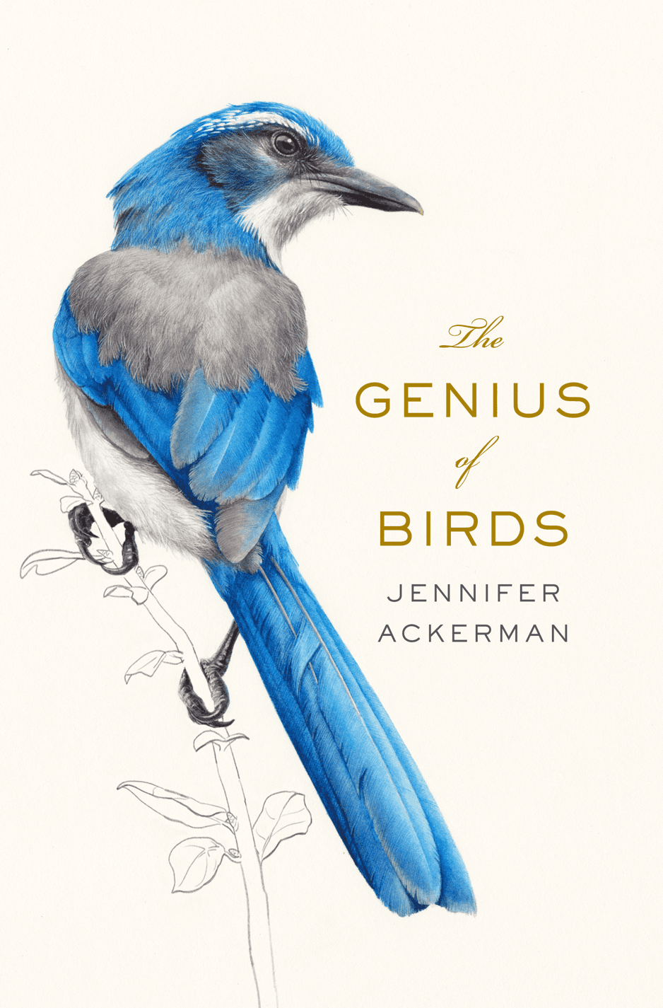 The Genius of Birds cover