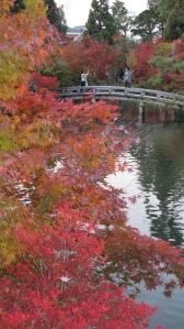 The Nanzen-ji grounds are one postcard after another.